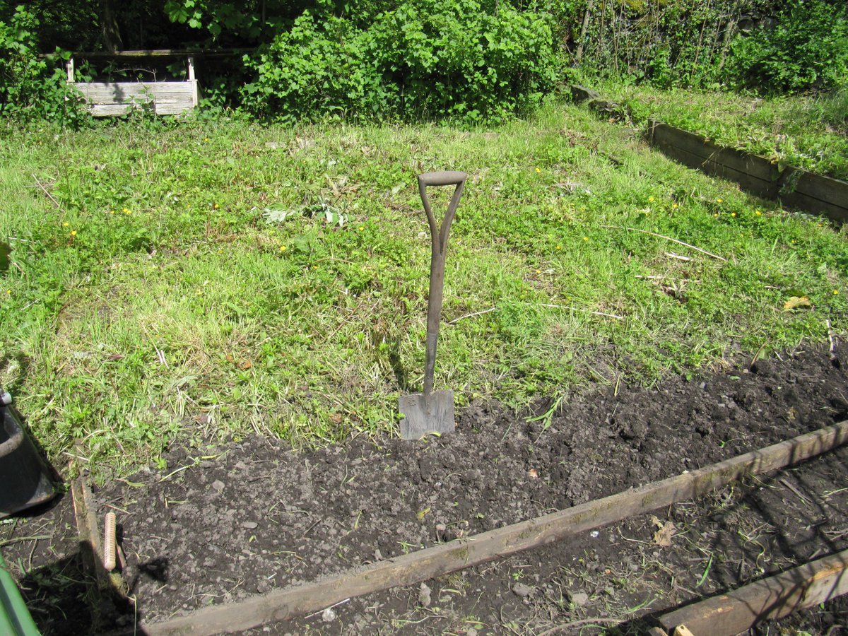 TheLengthsman's tweet image. On my 2nd T - shirt #allotment #digging #sweltering #humid #NotJustLakes #Cumbria