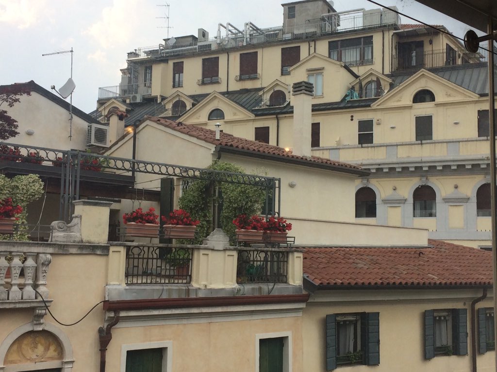 ilmiomondoverde's tweet photo. La #città e l'#arte #photography #viewfromrinascente  #tetti #verde #fiori #piante #terrazze #dipinti https://t.co/yz9nq7dOad