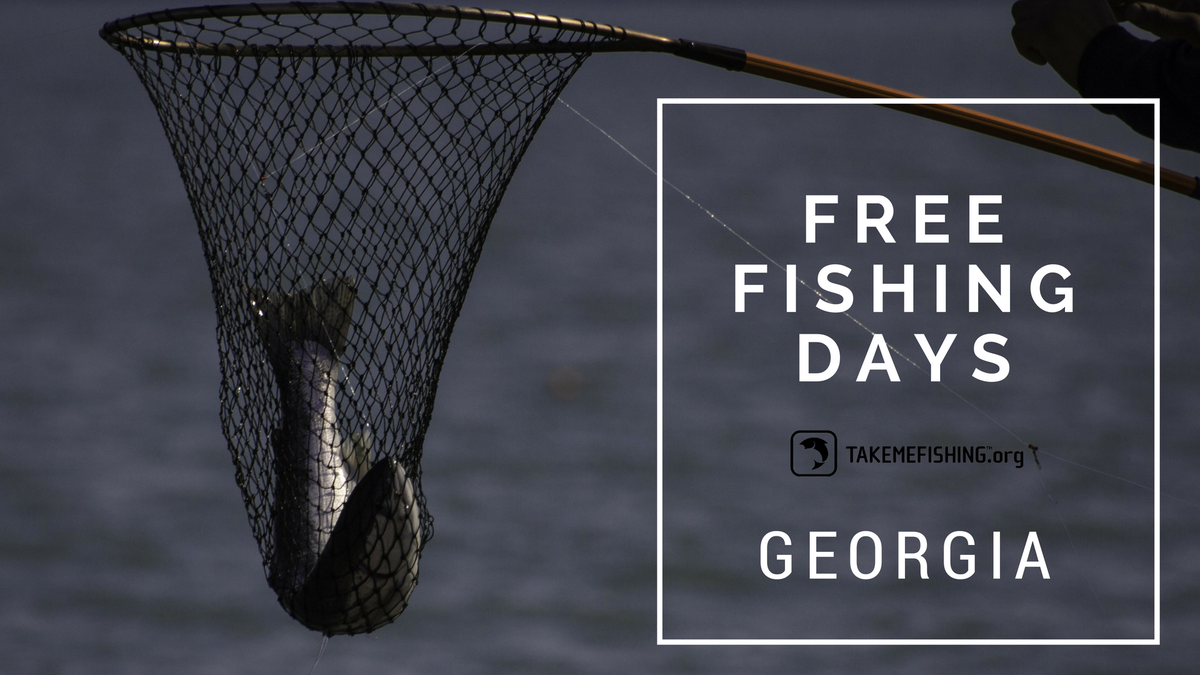 Take_Me_Fishing's tweet photo. Get ready for #Georgia #FreeFishingDays next weekend! Learn more:  https://t.co/OueLJilBY0 @GeorgiaWild https://t.co/QahqC8nLTB