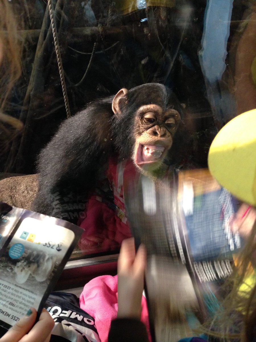 Fantastic day at <a href="/EdinburghZoo/">Edinburgh Zoo</a> today with all our Brownie units. A big thank you to all our helpers today. :) #edinburghzoo <a href="/rzss/">Royal Zoological Society of Scotland</a>