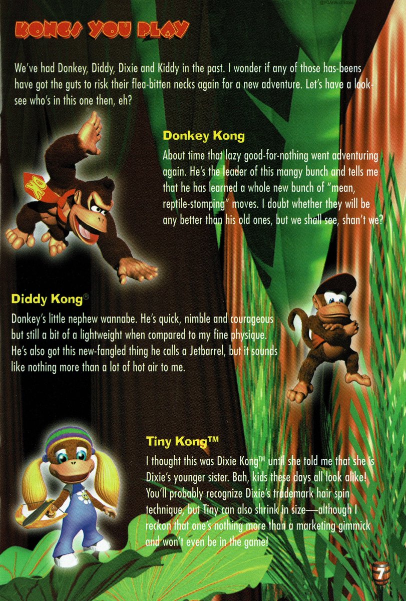 From the instruction booklet ~ Donkey Kong 64.