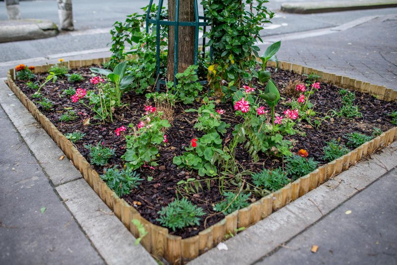 Devenez acteur de la #végétalisation de Paris en demandant votre permis de végétaliser 🌱#PlanClimatParis

👉 bit.ly/2IVZW3P