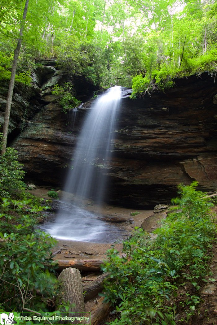 Moore Cove Falls was flowing very nicely yesterday! A short hike though a tad muddy due to recent rain/floods. The Waterfalls of NC map helps find places like this! wnc.li/9 #wnc #wncoutdoors #Waterfalls  #828isgreat