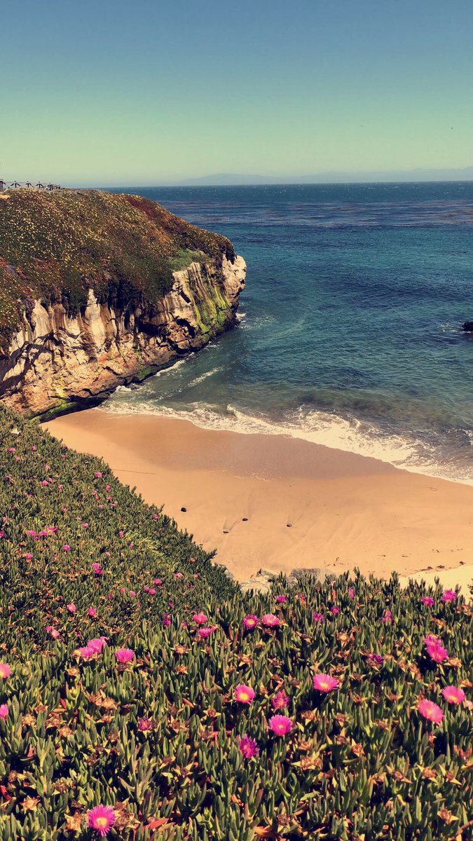 CadeCrookshanks's tweet photo. Santa Cruz is my favorite and imma move there😩 https://t.co/oLEHR2zoW5