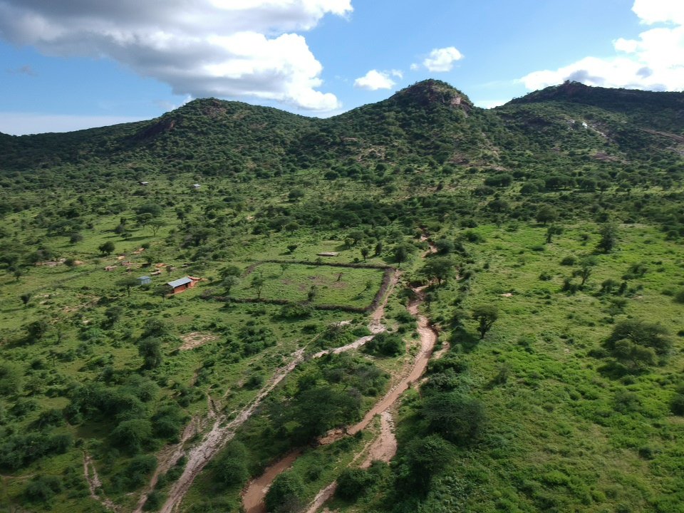 Miti Alliance tweet media