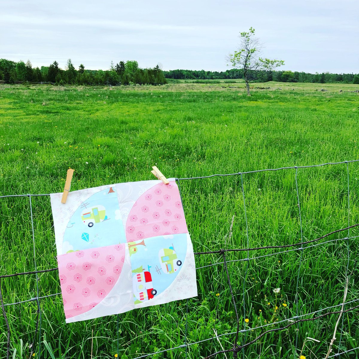 jackiewhite121's tweet photo. Practicing a new block. #quiltsofinstagram #drunkardspath #quilting #quilts #circles #makemodern #missingqc https://t.co/rYaHLN0mAI