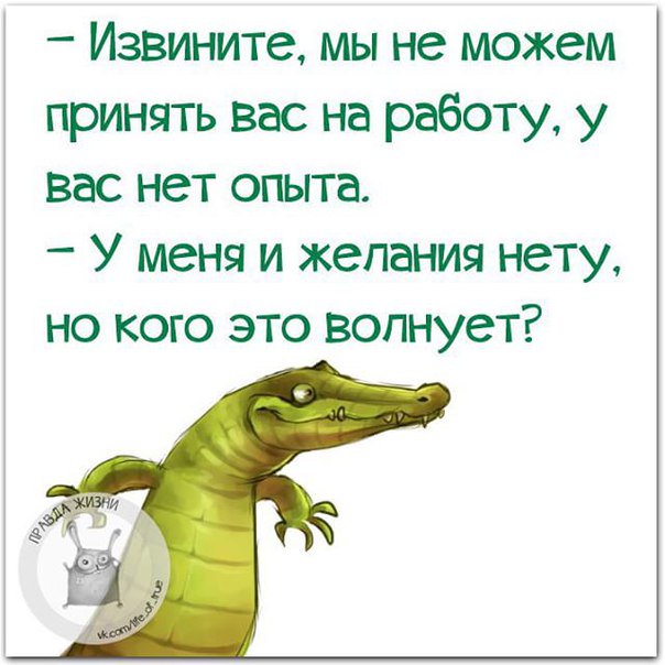 дочь молодого драгуна (@burnsiada) on Twitter photo 