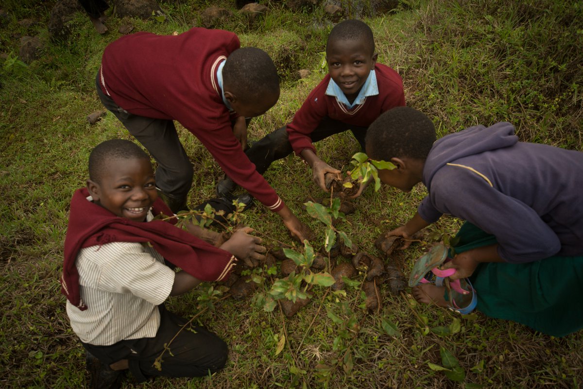 Miti Alliance tweet media