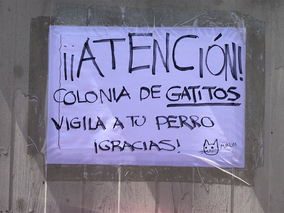 ABAGColectivo's tweet image. Gracias @getafevecinal por el detallazo que tuvisteis ayer protegiendo a una colonia felina y a sus crías. Gente como vosotr@s es necesaria para este municipio de #Getafe. Demostráis con este gesto que sois muy empáticos y defensores de todos los seres vivos. #noalmatratosnimal.