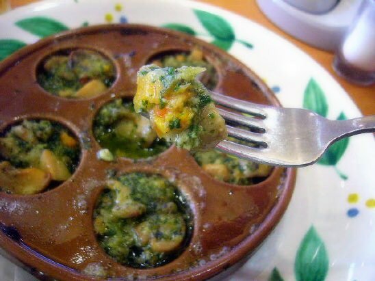 今日の鉄腕dashのグリル厄介で扱われたアフリカマイマイ 実はサイゼリヤのエスカルゴのオーブン焼きで使われている らしい Togetter