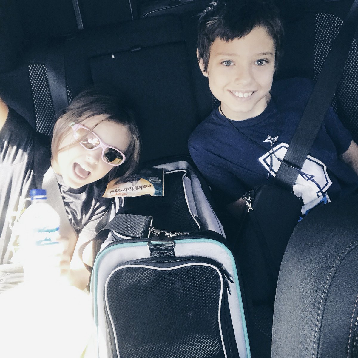 Buttons_LeFloof's tweet photo. Here we are traveling! My brother and sister did such a good job keeping me age on my first car ride. When we got to the hotel I poked my head out of my carrier and I sniffed a man in the check in line. He had bacon. #vacation #ButtonsLeFloof https://t.co/JVbzToiiJw