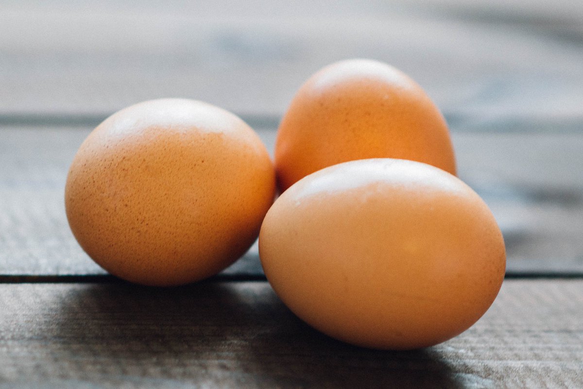 CulinaryCouncil's tweet photo. Happy #NationalEggDay! 🥚🍳Scrambled, sunny-side up, over easy — how do you like yours prepared? https://t.co/W7fPsetkgE