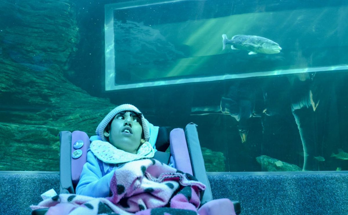 What does this do to you? <a href="/WarriorOnWheels/">Warrior On Wheels</a> you such an inspiration to all of us. Do you have an activity for differently abled then let us know.