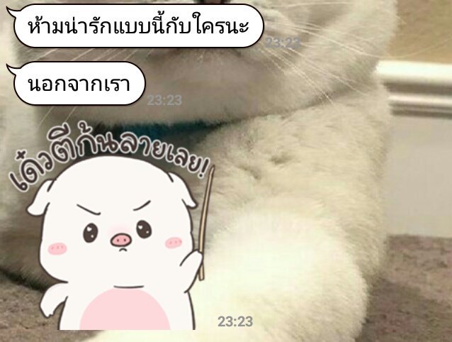 ไข่คนแซ่บ tweet media