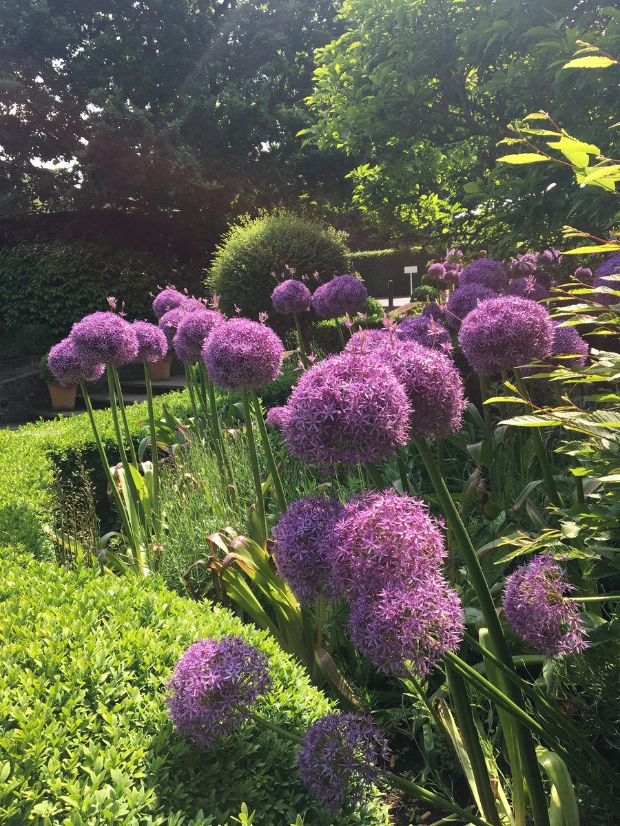 milsomhotels's tweet photo. Our first Afternoon Tea in the Marquee and it’s looking fabulous beside the river Stour in the Summer sunshine #flowers #afternoontea #cocktaildj @InteriorFloralD @DreamwaveEvents https://t.co/0iJcfQuWyb