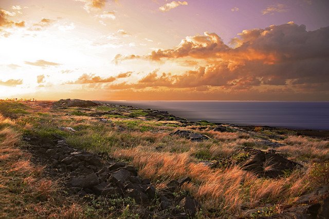 United Church Canada tweet media