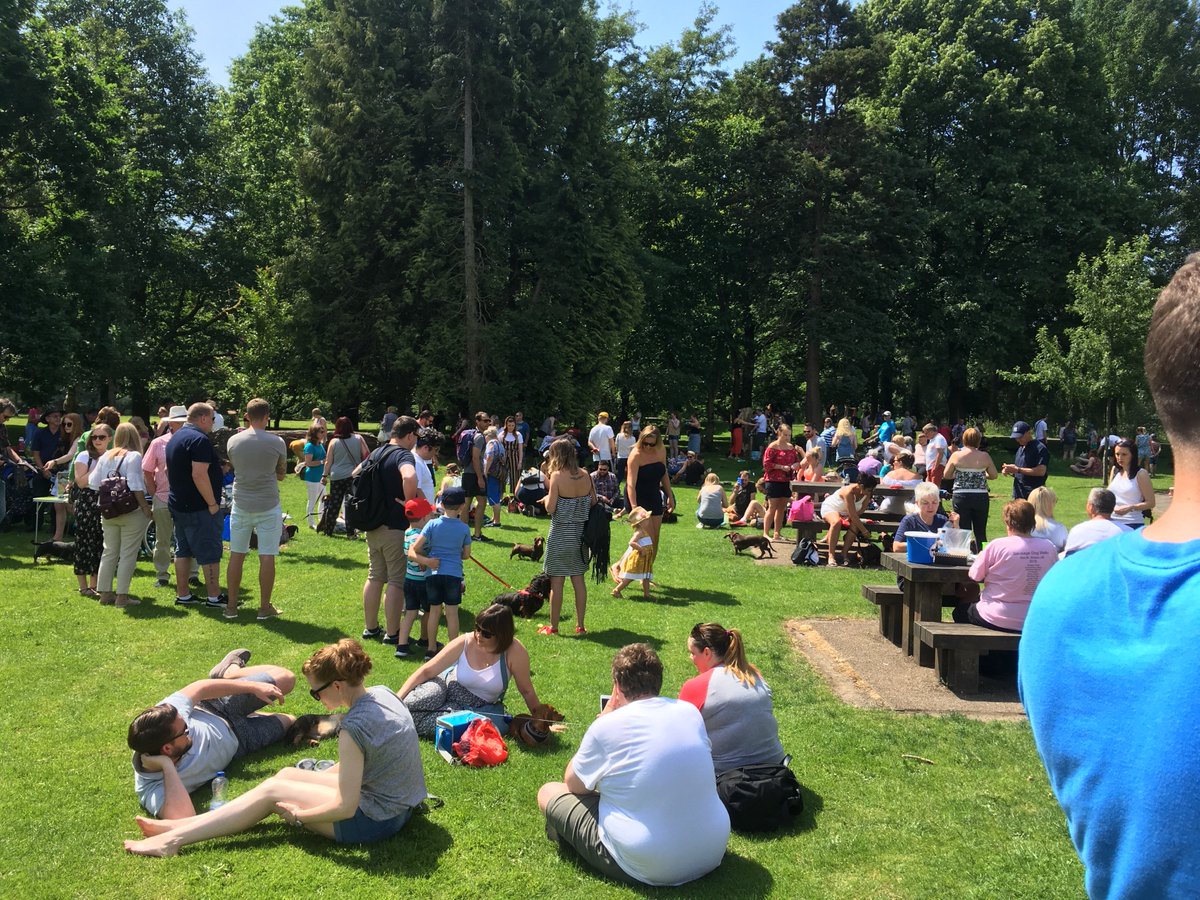 DDivdd's tweet photo. 200 #dachshund walk in @buteparkcardiff #Cardiff in aid of dogs with IVDD @WalesOnline @BBCWalesNews @BBCWales @ITVWales £1500 raises thanks to everyone https://t.co/obshFiTbaj