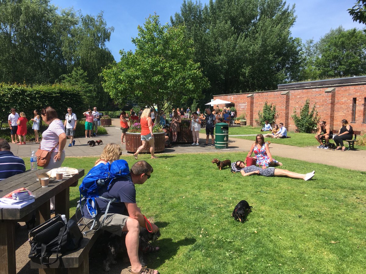 DDivdd's tweet photo. 200 #dachshund walk in @buteparkcardiff #Cardiff in aid of dogs with IVDD @WalesOnline @BBCWalesNews @BBCWales @ITVWales £1500 raises thanks to everyone https://t.co/obshFiTbaj