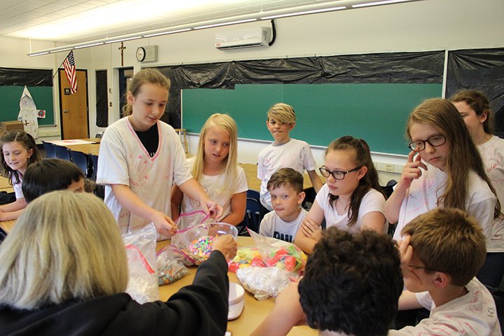 Mary Queen of Apostles School tweet media