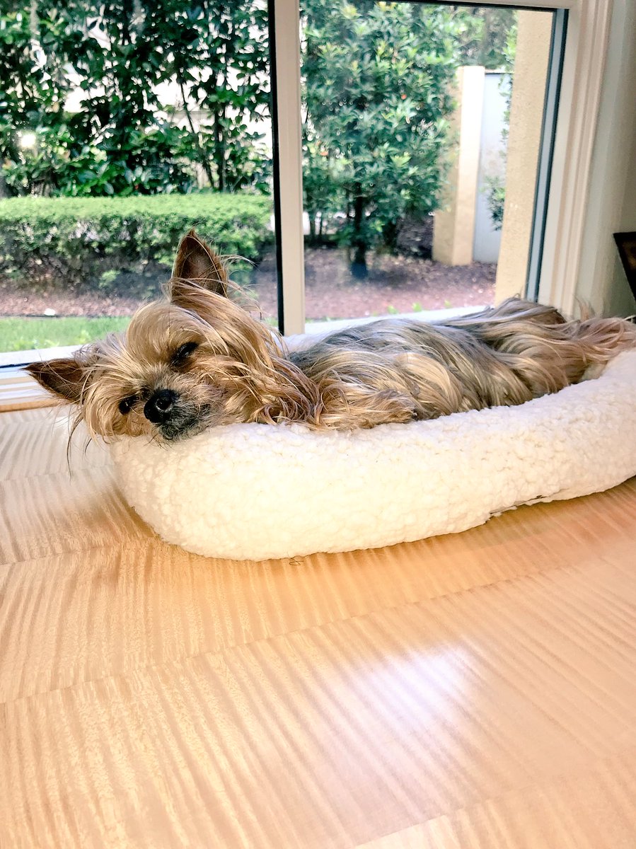 Garry Jones tweet media