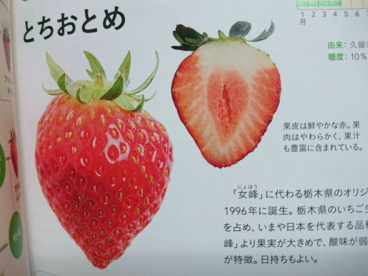 バナナキング 眺めてると楽しい 笑 Fruits 断面図 果物 フルーツ T Co Ijnco1hqmr Twitter