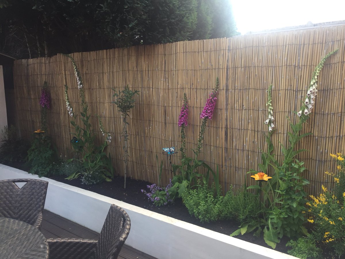 Jongreen1311's tweet photo. Todayโs mission accomplished by Mrs G!! Good job babe ๐๐ I just pointed the patio ๐ #liketheforthbridge https://t.co/iV9NX06v79