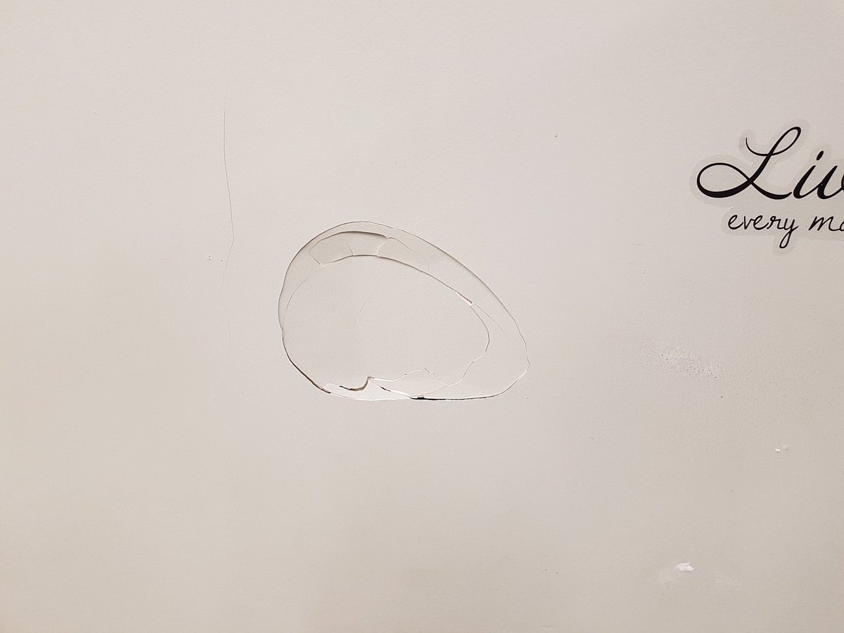 fredthealien316's tweet photo. @ODIN_REX Dude you totally put a big hole in the wall last night. Lol. If it ain't savage its just average. https://t.co/mikLzfUKBM