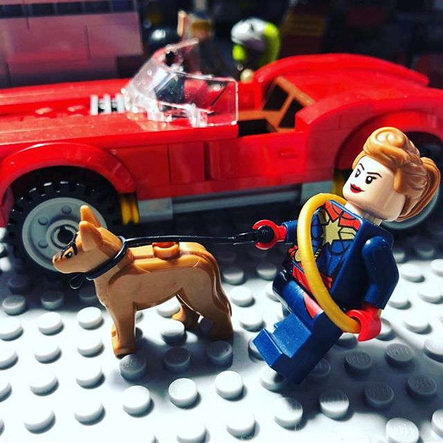 imagine.nations.bricks (@bricksimagine) on Twitter photo Captain Marvel is walking a police dog, on a very fine #SundayMorning !! #SundayMotivation
#captainmarvel
#puppylove
#GermanShepherd
#imaginenationsbricks
#Lego
#Legocity
#bricks
#brickcity
#afol
#multiverse
#dccomics
#marvel
#builderburg
#legolopolis
<a href="/retweet_it/">Retweet.it</a> Captain Marvel is walking a police dog, on a very fine #SundayMorning !! #SundayMotivation
#captainmarvel
#puppylove
#GermanShepherd
#imaginenationsbricks
#Lego
#Legocity
#bricks
#brickcity
#afol
#multiverse
#dccomics
#marvel
#builderburg
#legolopolis
<a href="/retweet_it/">Retweet.it</a>