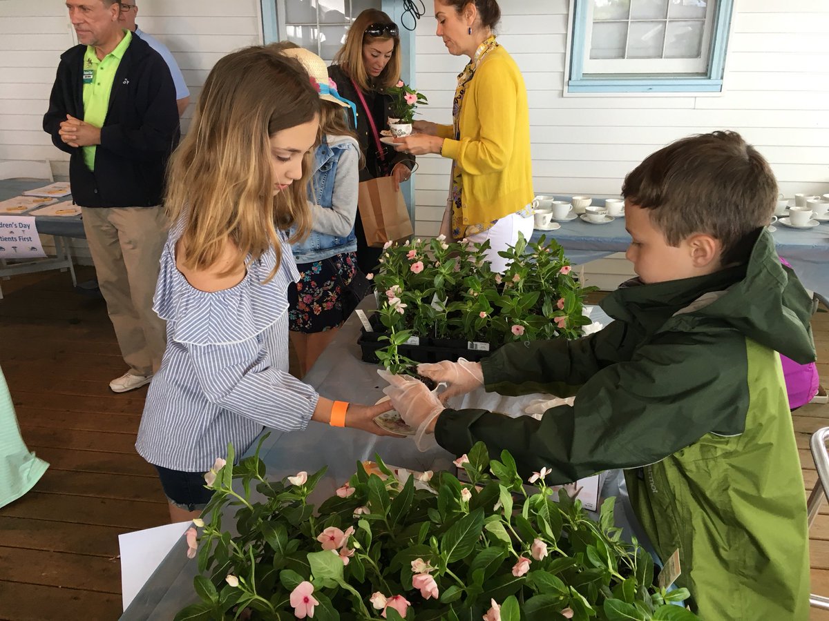 Devon Horse Show tweet media