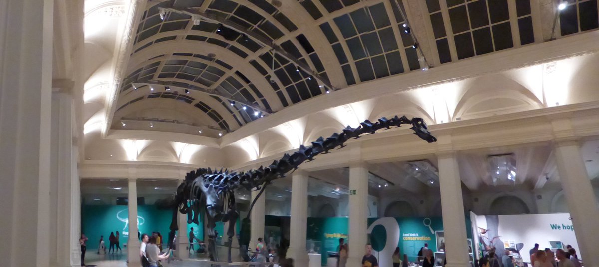 ellrbrown's tweet photo. Panoramic #DippyonTour @BM_AG @NHM_London #GasHall https://t.co/BGlCtNXvPg