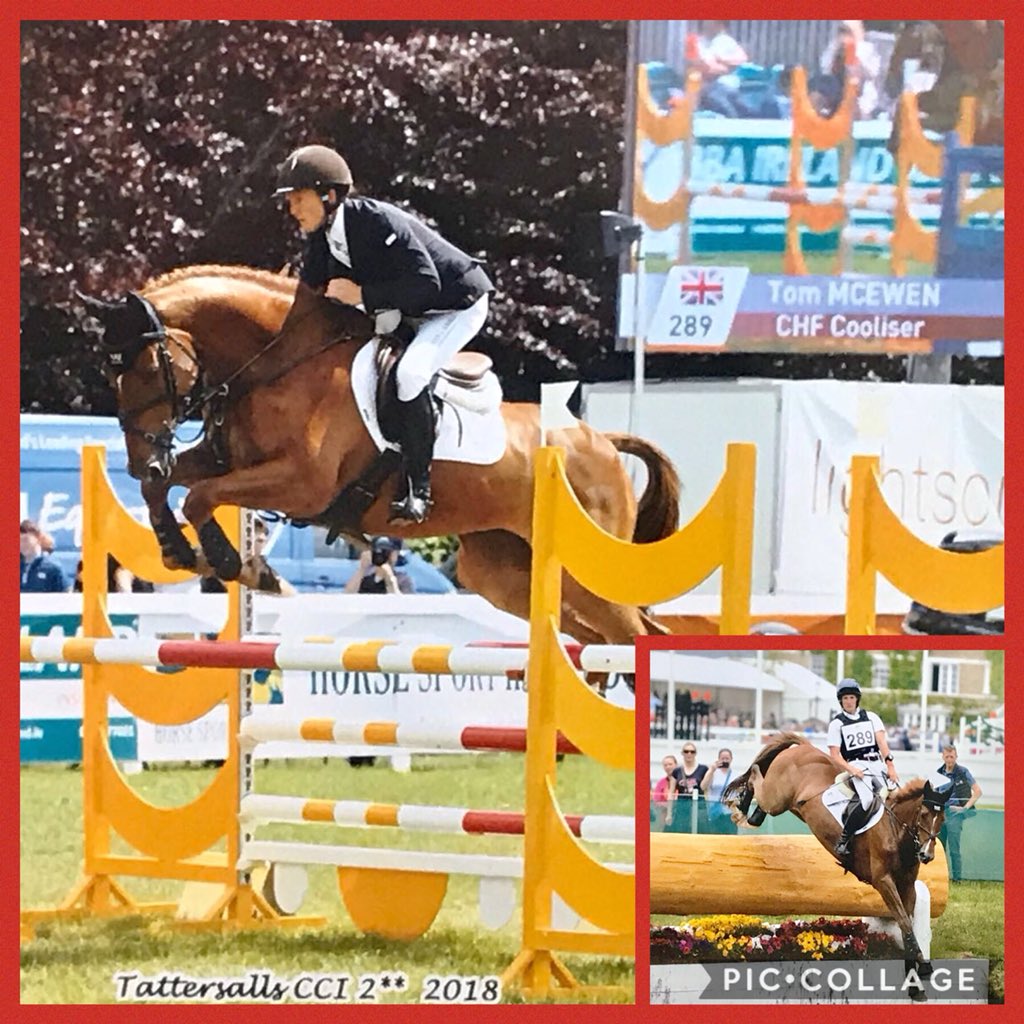 Tom McEwen tweet media