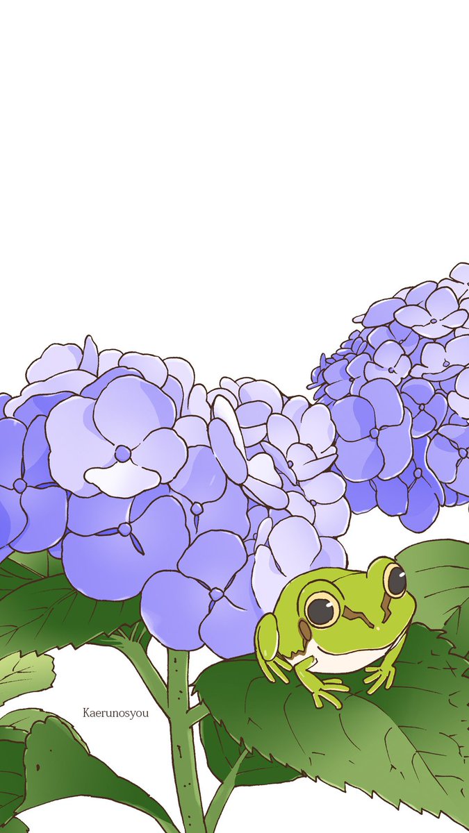 蛙ノ庄 恒例のスマートフォンの壁紙風 ６月の日本アマガエルと紫陽花です よろしければー カエル Frog