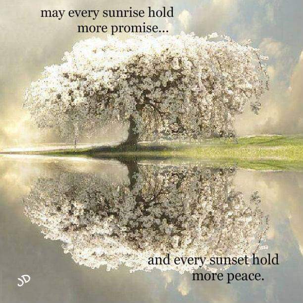 WynsmOnTheRez's tweet image. #SundayGreetings 

🌎Ya Ah Tééh Abiní  (Hello &amp;amp; G*Morning)
🌻 Ola
🌸Bonjour 
🌺Cheery*O
        ....etc💖💜💛💚💙❤

Peaceful,happy &amp;amp;absolute positive vibes 
Wished for you today~ 🌞

#Peace✌ 😚 💕 💖 🌎