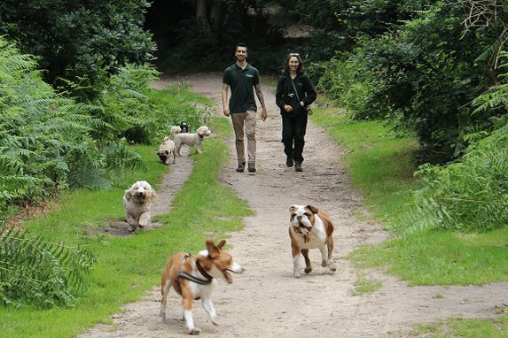 FinchleyVet's tweet photo. Great to have a chat with @GreenDogWalkers ! We found out Joe's tips on improving a dog's #recall and #leadwalking and wondered how many steps per day a #dogwalker does!! https://t.co/Co6TVZVq95 #10000steps https://t.co/fggckJtfRQ
