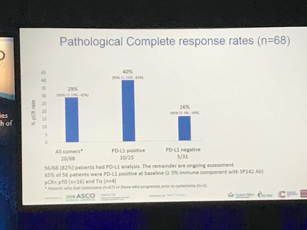 PGrivasMDPhD's tweet photo. Impressive pCR (~40%) &amp; tolerability with neoadjuvant atezo (Powles et al) or pembro @AndreaNecchi et al in MIBC, exciting data: PDL1, CD8 T cells, GEP, TMB, DDR: need for COMPOSITE biomarker but how to align biomarkers across trials?? @apolo_andrea @ERPlimackMD @OncoBellmunt https://t.co/6cYOTapozY