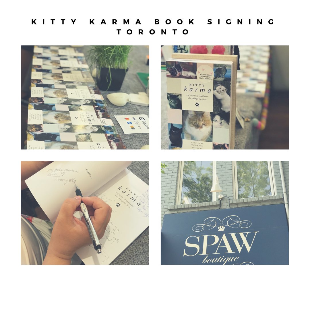 BooksKittyKarma's tweet photo. Our book signing for Kitty Karma:Big Stories of Small Cats Who Changed Our Lives in #Toronto went very well. Weโll see you next @meowfestival in #Vancouver. Our #catstories to raise funds for #catcharities will be offered at a discount to retail prices. #catlove #catsoftwittter https://t.co/uT3IoY0GzO