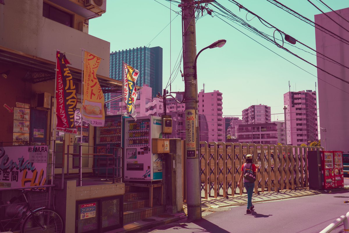 masa_photo_jp's tweet photo. Pink https://t.co/TSskEYp2mE