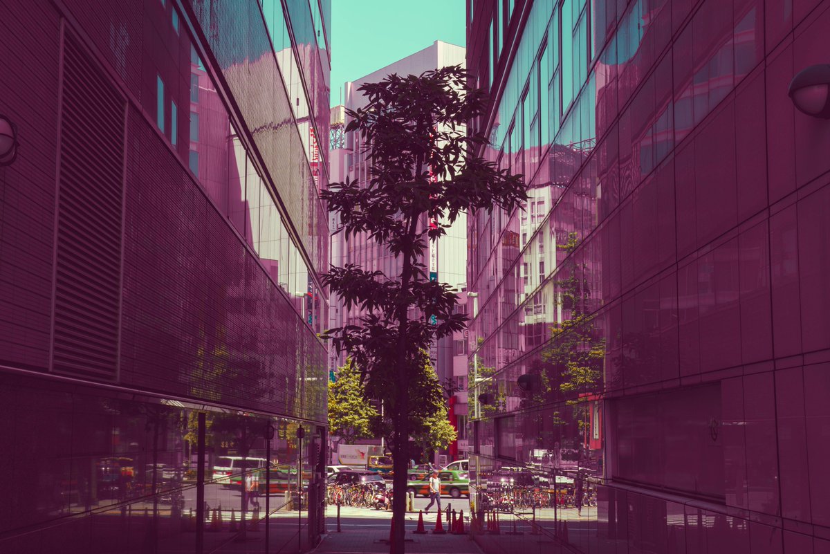 masa_photo_jp's tweet photo. Pink https://t.co/TSskEYp2mE