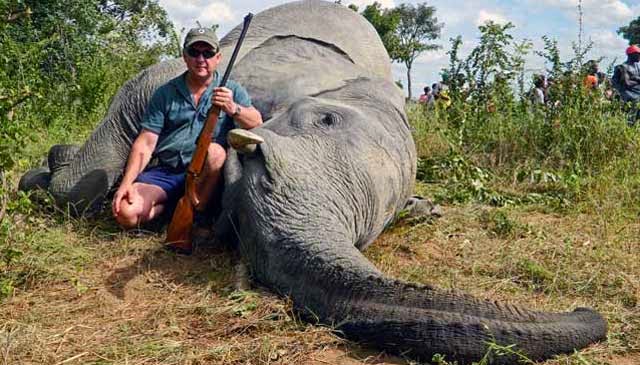 SaveElephants6's tweet photo. #StopPoachingOurElephants https://t.co/Y22mAjqYt3