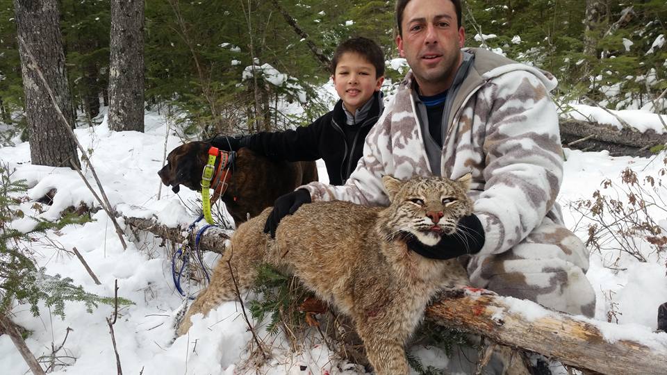 WhyGeorgia's tweet image. #BanTrophyHunting #ExposeTrophyHunting The &quot;advertisement&quot; for the company that arrange these &quot;kills&quot; says &quot;For  fun &amp;amp; sport&quot;.... Can you even begin to get your head around  this....This beautiful Bobcat is killed for fun....IDIOTS