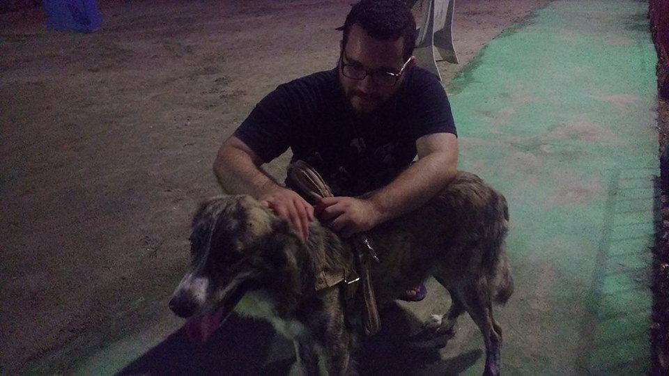 Jeff_Carvalho52's tweet image. Amo d+ esse cachorro 😄
#BobTheDog