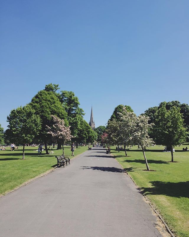 The best view in all of #clissoldpark ☀️🌲 ift.tt/2JaPZjb