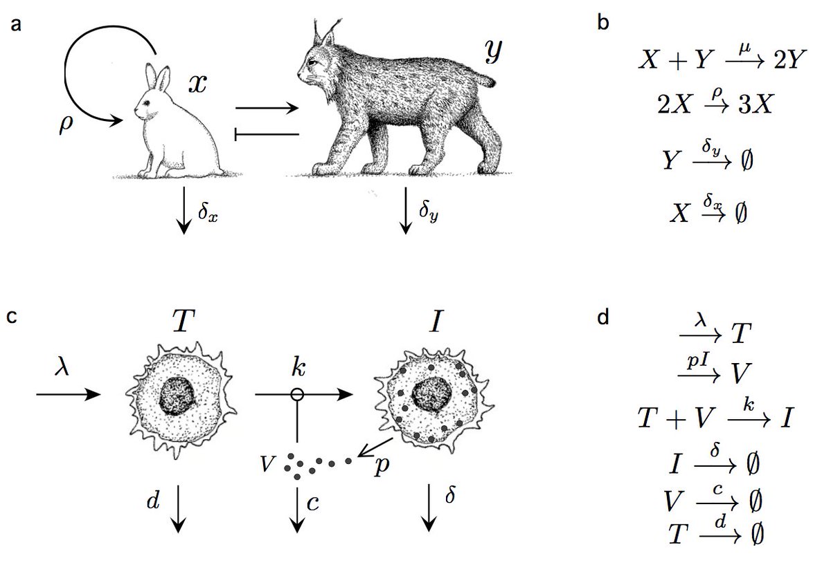 download markov processes and applications algorithms networks