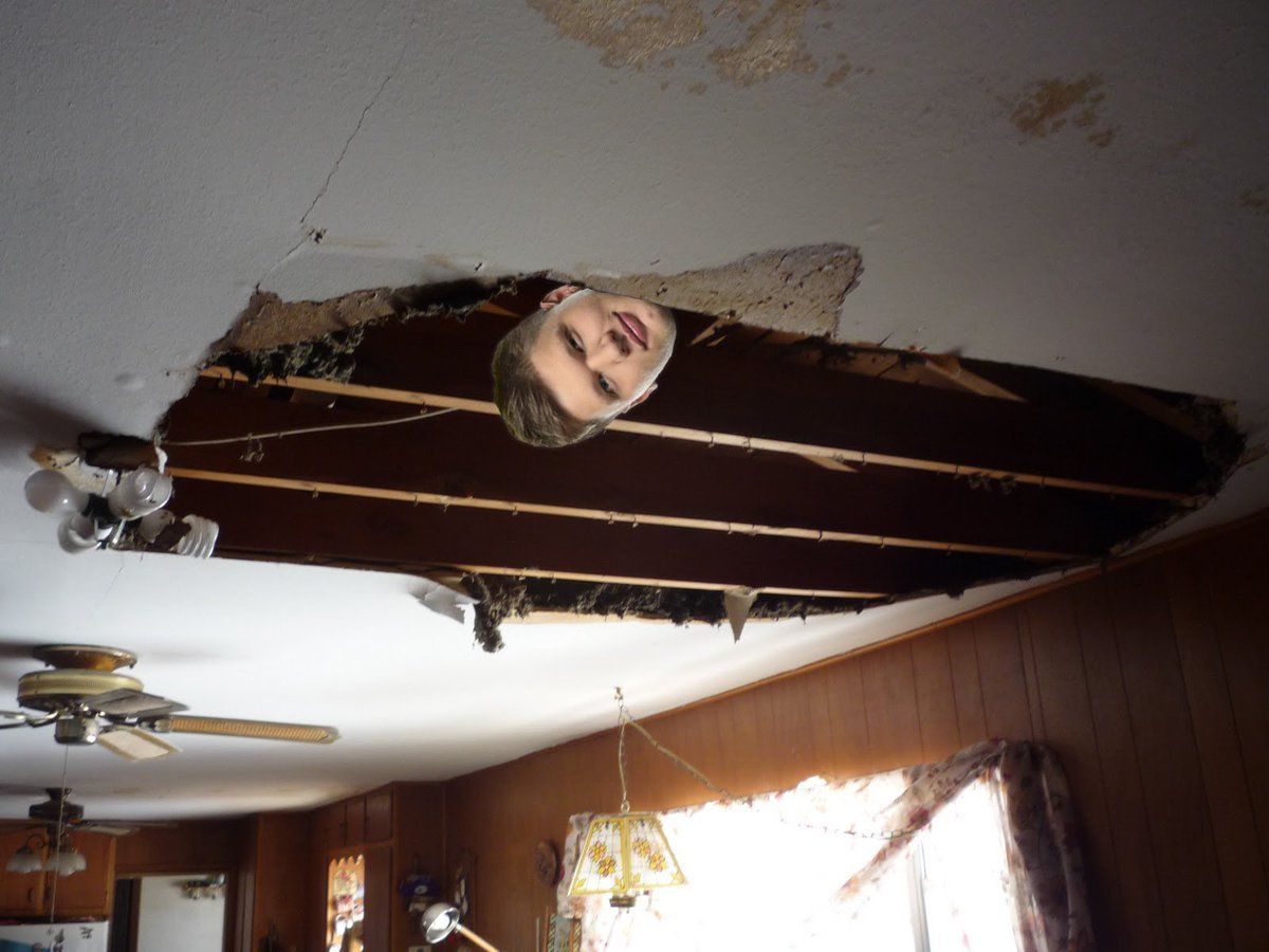 Milos Nedeljkovic On Twitter Hallo Can Someone Fix The Ceiling