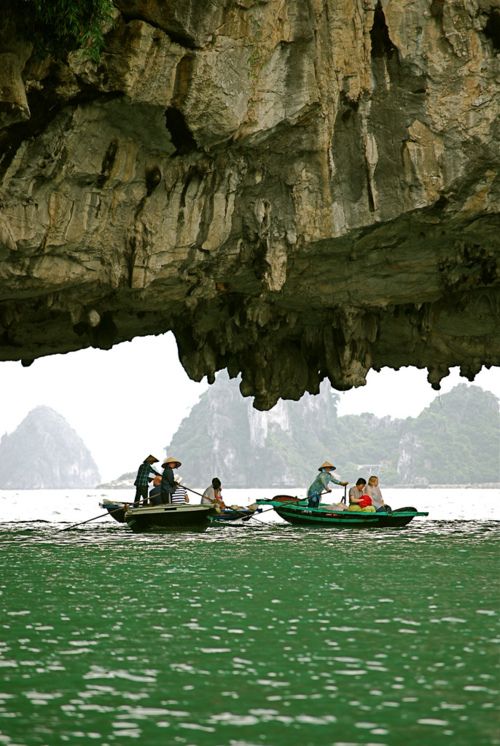 havetoseeit's tweet photo. Halong Bay, Vietnam

#amazing #travel #havetoseeit #beautiful #Vietnam https://t.co/P1i3VnFeXV