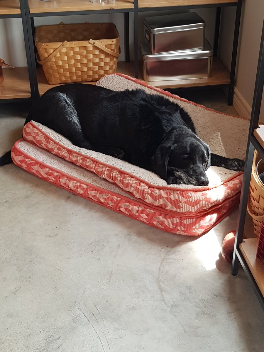 Wilbury70's tweet photo. Thanks for keeping an eye on things Angus during @MeanderRiver  pop up summer market.  #seeingdoubleIPA https://t.co/ChPMS7MAEx