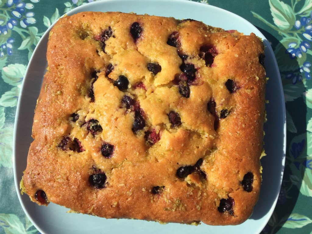 csrevans's tweet photo. Amser te yn yr ardd a’r haul yn dal i wenu’n braf! #cacen #mafon #llus #leim ☀️🍰 #teimlofelbodarwyliau #Porthcawl 🌊 #llebrafifyw
Tea time in the garden in this glorious sunshine! #raspberry #blueberry #lime #cake ☀️🍰#feelslikebeingonhols #Porthcawl 🌊 #greatplacetolive https://t.co/IUMGsL6lSG