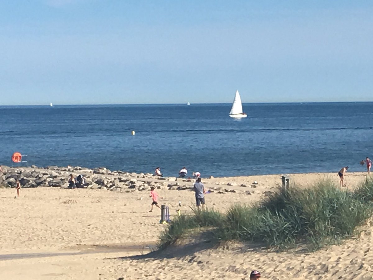 HannahLouiseGo1's tweet photo. #BeautifulLife #Beachlife #Poolebornandbred https://t.co/uHqZp0x0A6