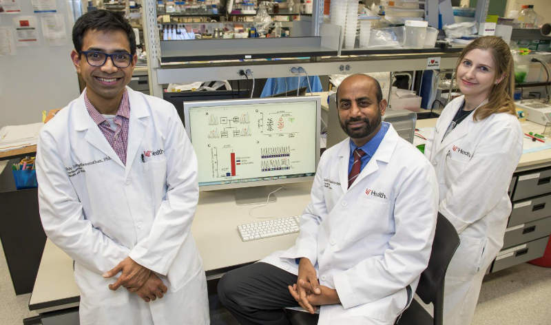 MDLinx's tweet image. Second mutation in #MYBPC3 #gene increases #cardiomyopathy risk in South Asians bit.ly/2JbGxez #cardiology #HCM #LVEF
