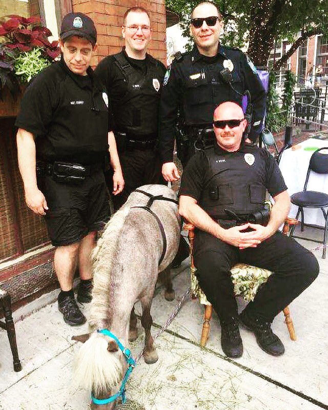 Knoxville Police TN on Twitter "You never know who or what you’ll see